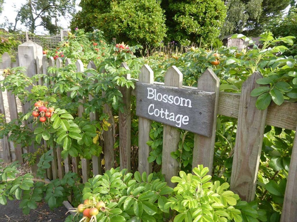 Blossom Cottage