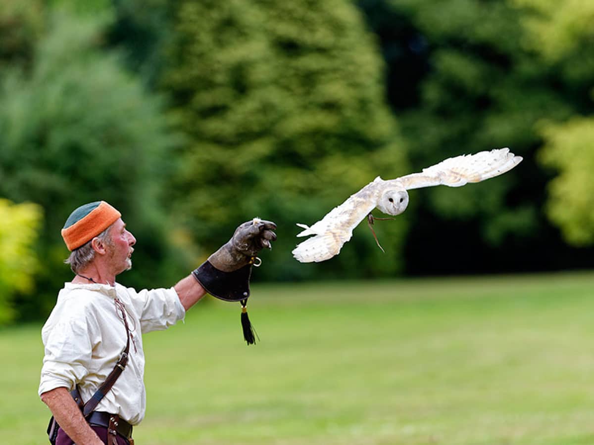 event-2024_falconry