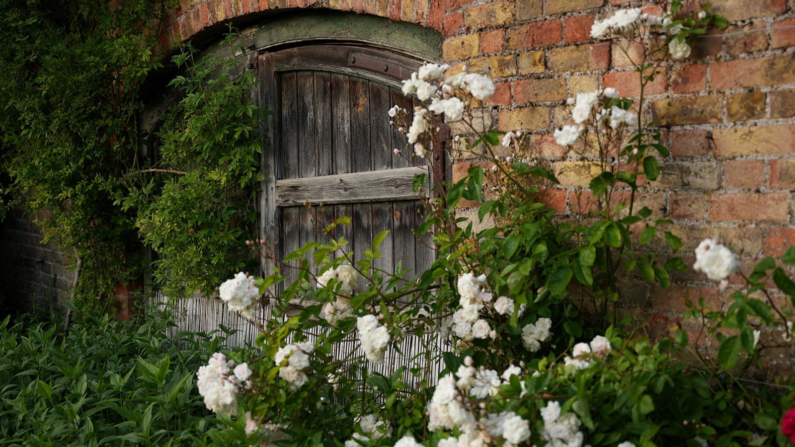 The Kitchen garden