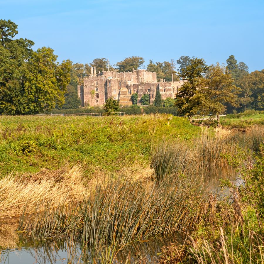 Residential Properties on the Berkeley Castle Estate